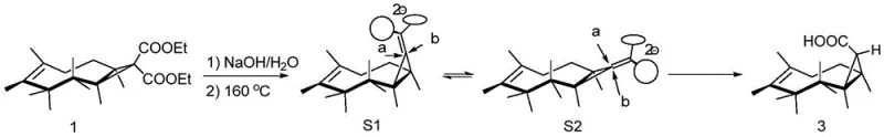 Mechanism of stereoselective decarboxylation showing steric hindrance favoring endo-product