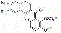 Cyclization reaction using phosphorus oxychloride to form the benzacridine core structure