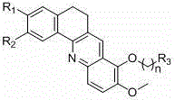 Final derivatization steps showing diverse amine substitutions on the benzacridine scaffold