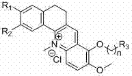 General chemical structure of the novel benzacridine derivative showing variable R groups for SAR optimization