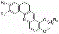 General structural formula of benzacridine derivatives showing variable R groups and side chains
