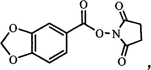 Chemical structure of the succinimide ester intermediate formed during activation