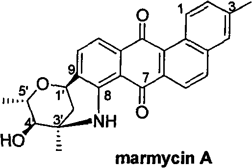 General chemical structure of novel benzanthracycline compounds Formula I and II
