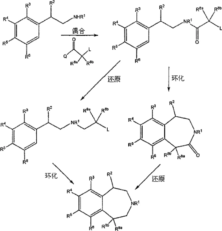 General synthetic scheme for benzazepine derivatives showing key intermediates and transformation steps