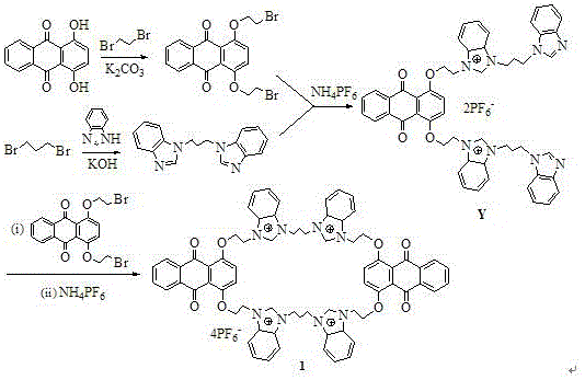 Synthetic route showing alkylation and macrocyclization steps for benzimidazole cyclophane