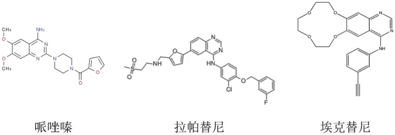 General reaction scheme for the synthesis of benzimidazoles and quinazolines using supported nickel catalyst