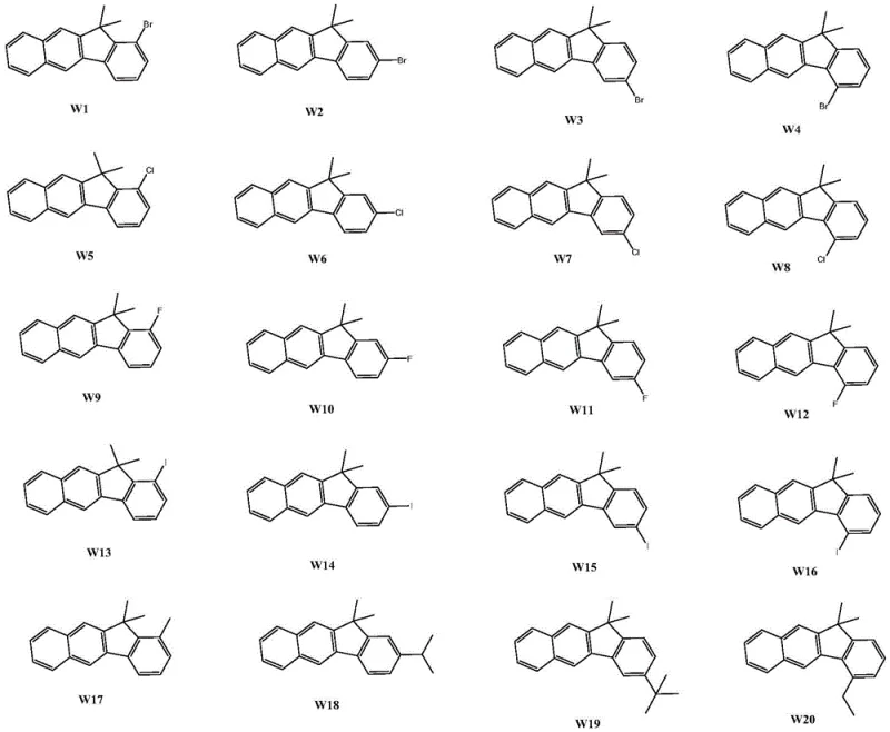 Library of specific benzo[b]fluorene derivatives W1 to W20 showing structural diversity