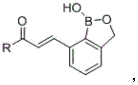 General molecular structure of benzoborazole 7-chalcone derivatives showing the variable R group