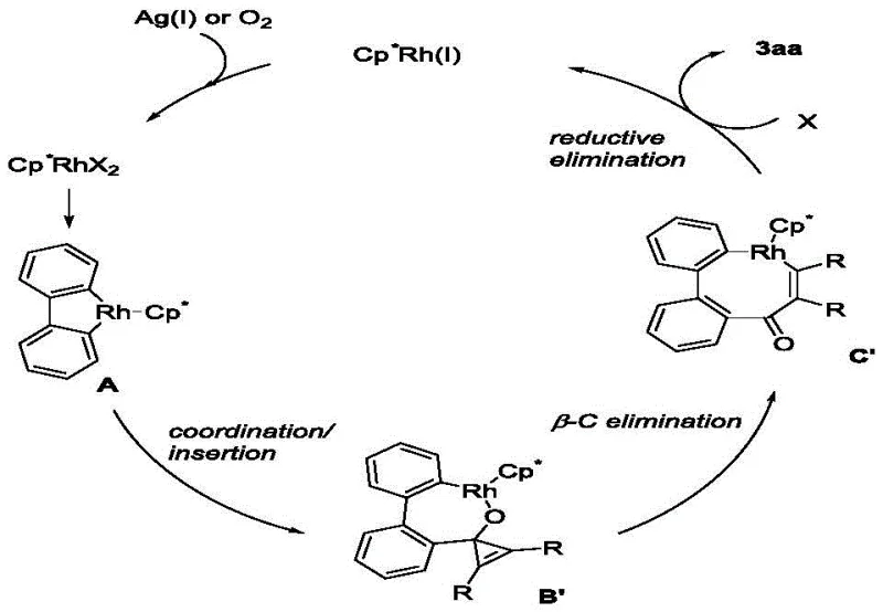 Proposed catalytic cycle mechanism involving C-H activation, insertion, and beta-C elimination