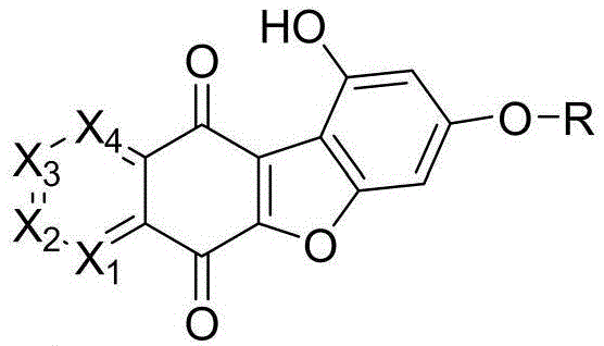 General structural formula of novel benzofuran azanaphthalene dione derivatives showing variable nitrogen positions and side chains