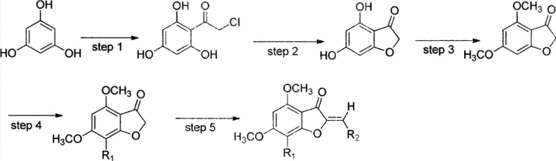Complete 5-step synthetic route from phloroglucinol to final aurone derivatives showing acylation, cyclization, methylation, halogenation, and condensation