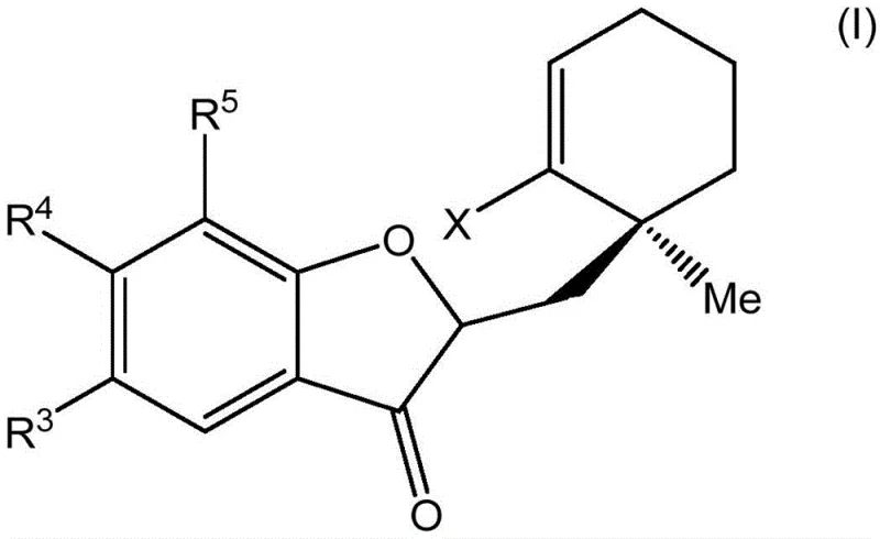 General chemical structure of benzofuranone-4,5-spirocycle intermediates showing variable substituents