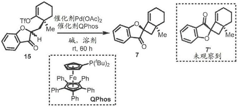 Key cyclization reaction scheme showing Pd catalyst, QPhos ligand and base conditions