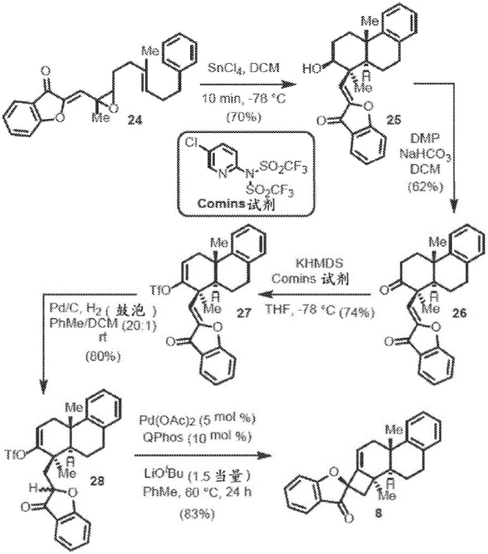 Synthetic route for complex analog 8 showing multi-step sequence and final cyclization