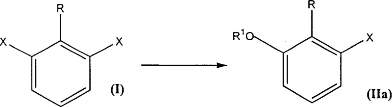 General reaction scheme showing selective nucleophilic substitution on dihalobenzene to form mono-substituted intermediate