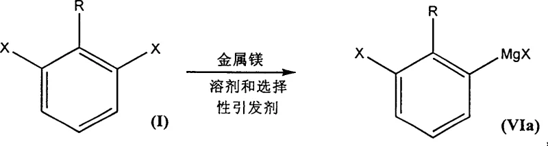 Direct formation of Grignard reagent from dihalobenzene showing selective metallation