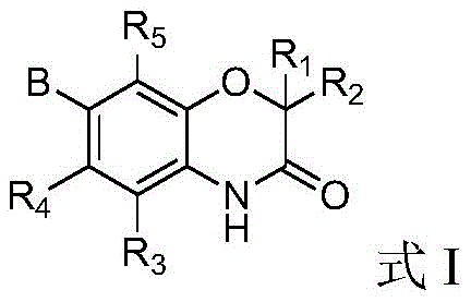 General chemical structure of Formula I showing the benzomorpholone core with variable substituents R1-R5 and group B