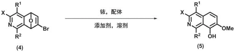 Overall reaction flowchart for modular synthesis of benzophenanthridines and protoberberines