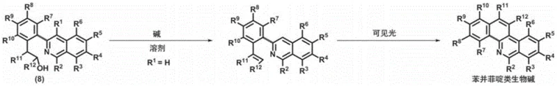 Synthesis pathway for benzophenanthridine alkaloids via elimination and cyclization