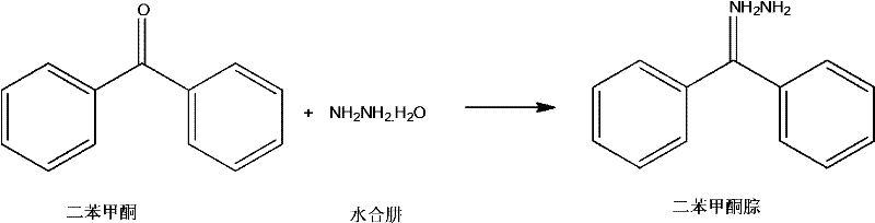 Reaction scheme showing the condensation of Benzophenone with Hydrazine Hydrate to form Benzophenone Hydrazone