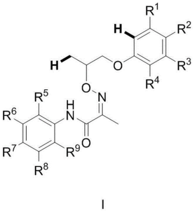 General structure of Compound I showing variable substituents R1-R9