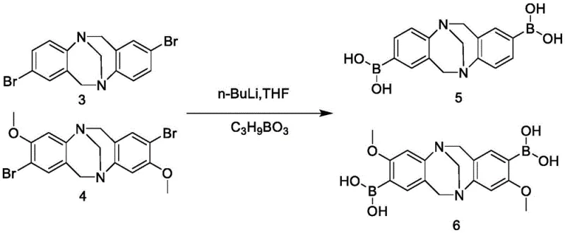 Synthesis of boronic acid intermediates 5 and 6 via lithiation and borylation