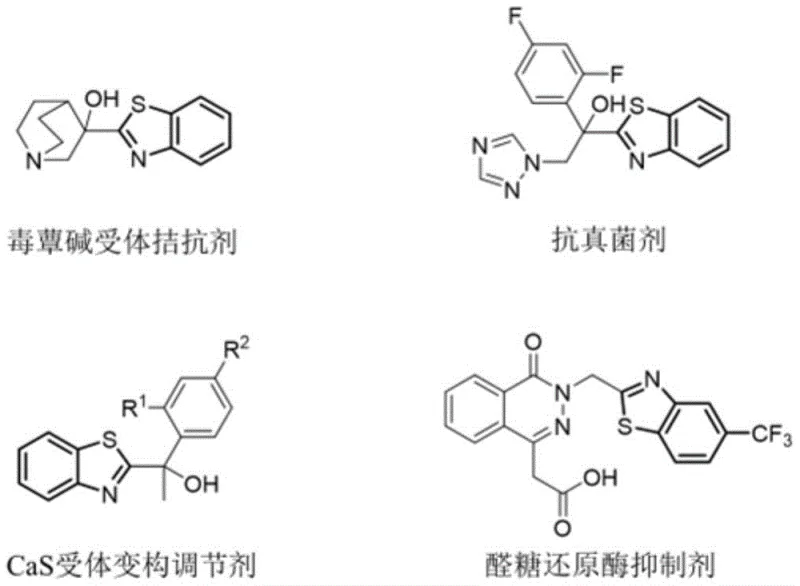Representative benzothiazole drugs including muscarinic receptor antagonists and antifungal agents