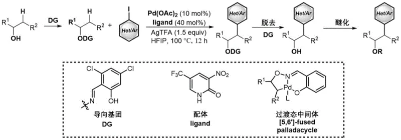 Conventional Pd-catalyzed synthesis route requiring directing groups and ligands