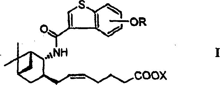 General Formula I of Benzothiophene Carboxylic Acid Amide Derivatives showing the core scaffold and variable side chains