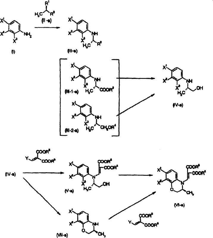 General synthetic route from compound (I) to compound (VI) showing the formation of the benzoxazine core