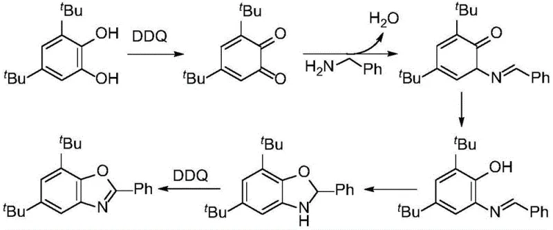 Detailed reaction mechanism showing oxidative cyclization of catechol to benzoxazole