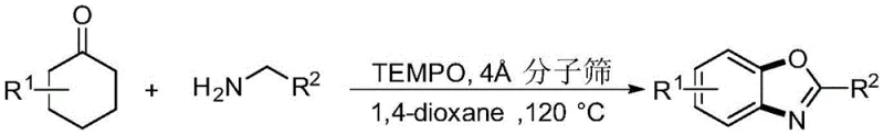 Chemical reaction scheme showing cyclohexanone compound reacting with alkylamine under TEMPO catalysis at 120°C in dioxane solvent with molecular sieves