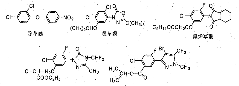 Chemical structures of existing PPO inhibitor herbicides for comparative analysis