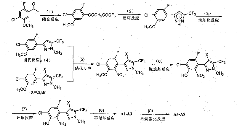 Complete synthetic route for benzoxazolinone herbicides from acetophenone precursors