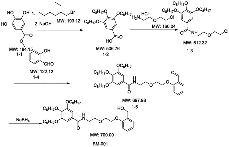 Specific synthesis scheme for BM-001 showing alkylation amidation and reduction steps