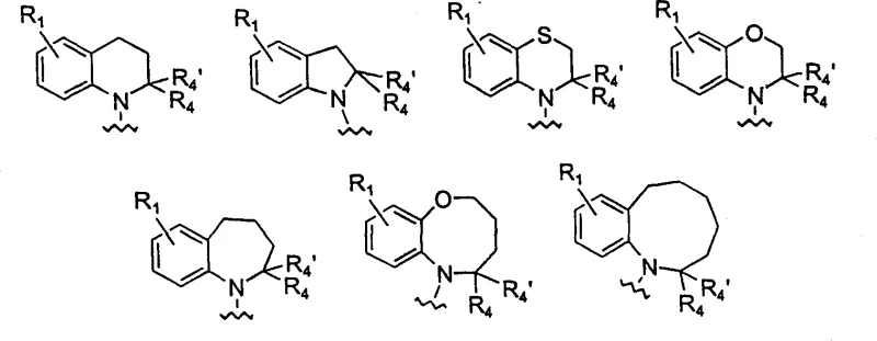 General chemical structures of bicyclic systems and spiro rings showing structural diversity