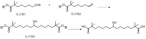 Novel organozinc coupling reaction scheme for Bepidoic acid synthesis