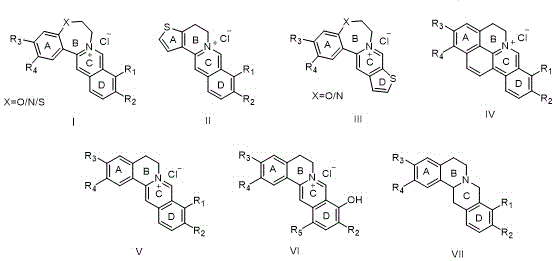 General structural formulas I-VII of novel berberine derivatives with expanded heteroatom-containing B-rings