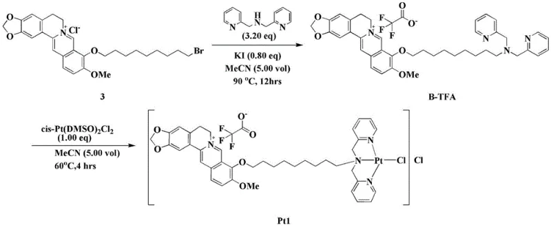 Synthetic route of berberine antitumor platinum II complex showing ligand formation and coordination steps