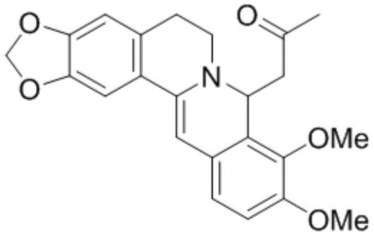 Molecular structure of the Berberine Acetone Adduct intermediate showing the specific solvation geometry