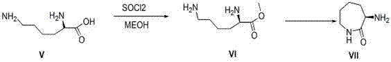 Synthesis of the chiral side chain L-aminocaprolactam (VII) from L-lysine methyl ester (VI)