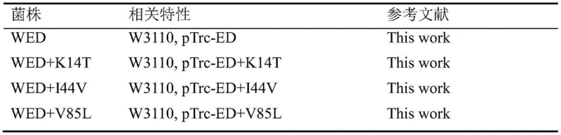 SDS-PAGE analysis showing increased active subunit bands in PanD mutants compared to wild type