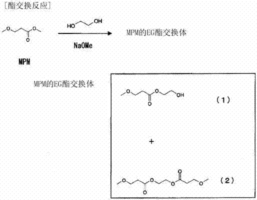 Specific transesterification reaction of MPM with Ethylene Glycol forming mono and di-ester exchangers