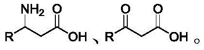 General chemical structures of beta-amino acid and beta-keto acid substrates targeted by the mutant enzyme