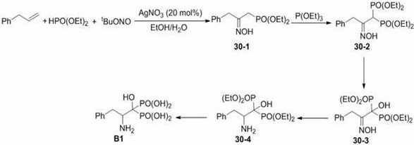 Multi-step synthesis route to beta-amino phosphoric acid derivative B1