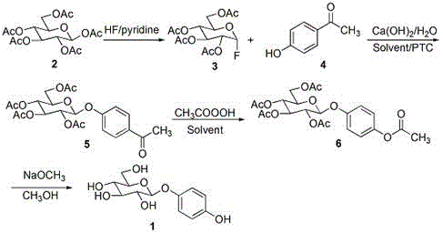 Overall synthetic route of beta-arbutin showing fluorination, glycosylation, oxidation and deprotection steps