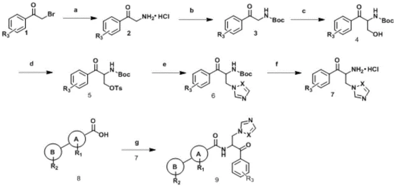 General Synthetic Route showing steps a through g for preparing Beta-Azole-Phenyl Ketone Derivatives