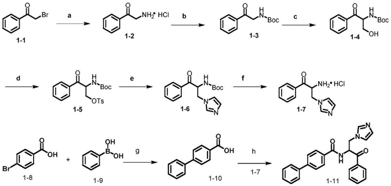 Specific Synthetic Route for Example 1 detailing reagents and conditions for each step