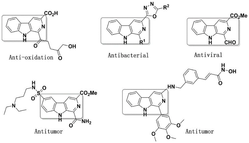 General chemical structure of the novel N-N bridged beta-carboline isatin derivative showing variable R groups