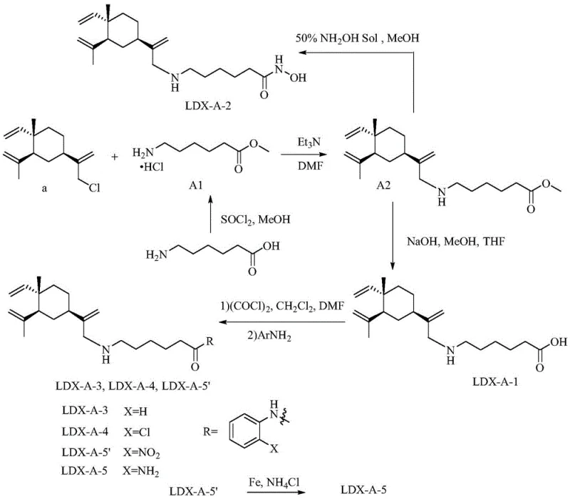 Synthesis route for Series A aliphatic beta-elemene HDAC inhibitors showing N-alkylation and hydrolysis steps